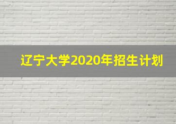 辽宁大学2020年招生计划