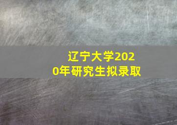 辽宁大学2020年研究生拟录取