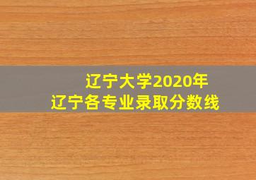 辽宁大学2020年辽宁各专业录取分数线