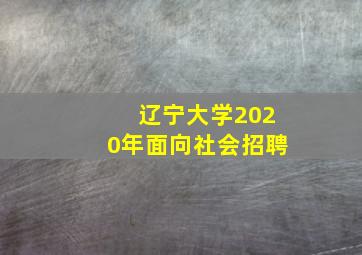 辽宁大学2020年面向社会招聘