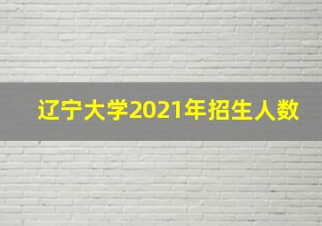 辽宁大学2021年招生人数