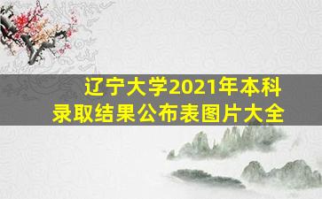 辽宁大学2021年本科录取结果公布表图片大全