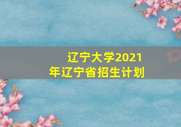 辽宁大学2021年辽宁省招生计划