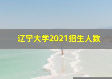 辽宁大学2021招生人数