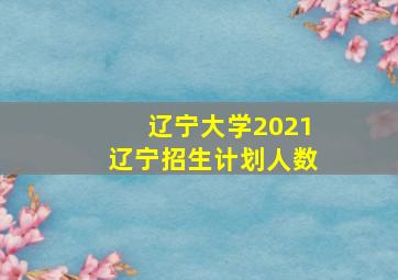 辽宁大学2021辽宁招生计划人数