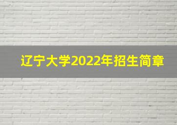 辽宁大学2022年招生简章