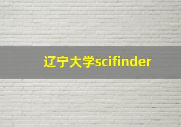 辽宁大学scifinder