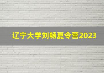 辽宁大学刘畅夏令营2023