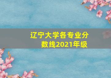 辽宁大学各专业分数线2021年级