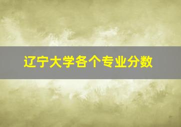 辽宁大学各个专业分数