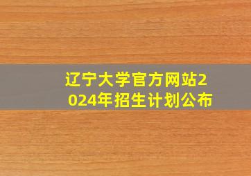 辽宁大学官方网站2024年招生计划公布