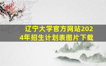 辽宁大学官方网站2024年招生计划表图片下载