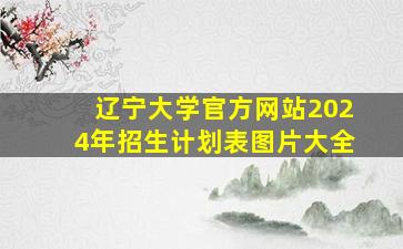 辽宁大学官方网站2024年招生计划表图片大全