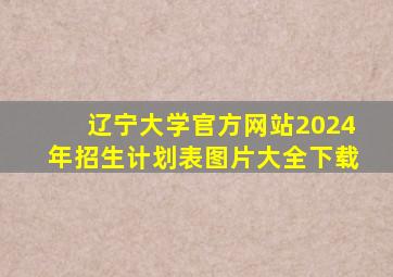 辽宁大学官方网站2024年招生计划表图片大全下载