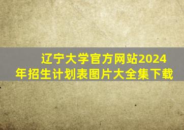 辽宁大学官方网站2024年招生计划表图片大全集下载