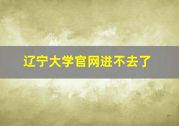 辽宁大学官网进不去了