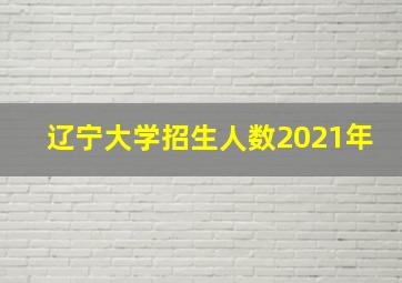 辽宁大学招生人数2021年