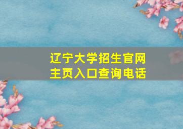 辽宁大学招生官网主页入口查询电话