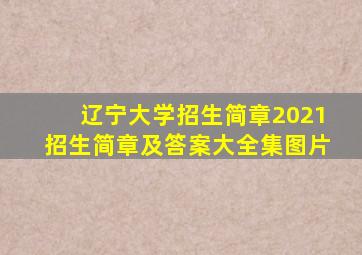 辽宁大学招生简章2021招生简章及答案大全集图片