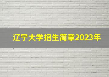 辽宁大学招生简章2023年