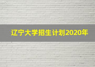 辽宁大学招生计划2020年