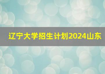 辽宁大学招生计划2024山东