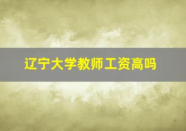 辽宁大学教师工资高吗