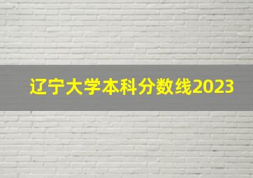 辽宁大学本科分数线2023