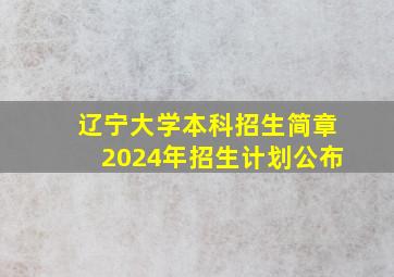 辽宁大学本科招生简章2024年招生计划公布