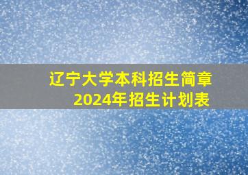 辽宁大学本科招生简章2024年招生计划表