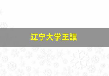 辽宁大学王譞