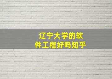 辽宁大学的软件工程好吗知乎