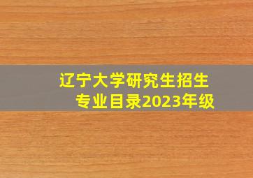 辽宁大学研究生招生专业目录2023年级