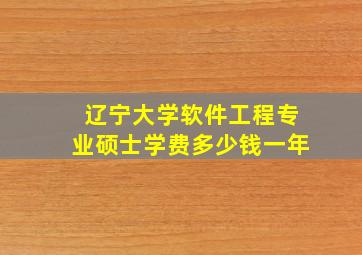 辽宁大学软件工程专业硕士学费多少钱一年