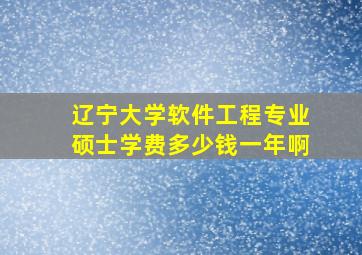 辽宁大学软件工程专业硕士学费多少钱一年啊