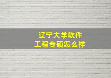 辽宁大学软件工程专硕怎么样