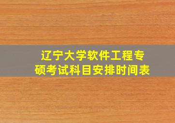 辽宁大学软件工程专硕考试科目安排时间表