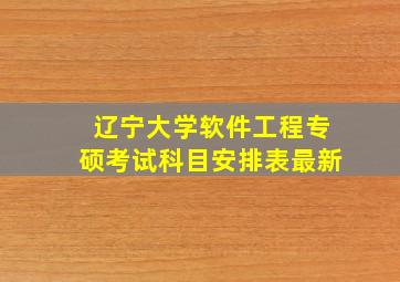 辽宁大学软件工程专硕考试科目安排表最新