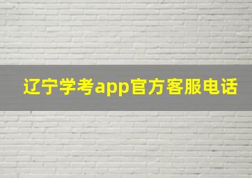 辽宁学考app官方客服电话