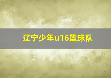 辽宁少年u16篮球队