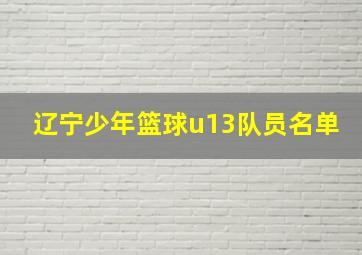 辽宁少年篮球u13队员名单