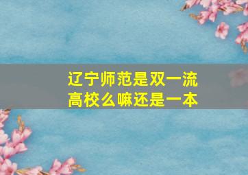 辽宁师范是双一流高校么嘛还是一本