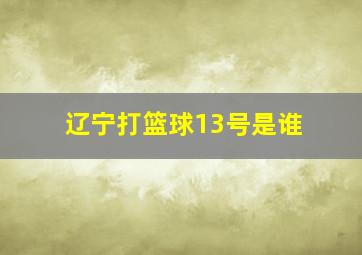 辽宁打篮球13号是谁