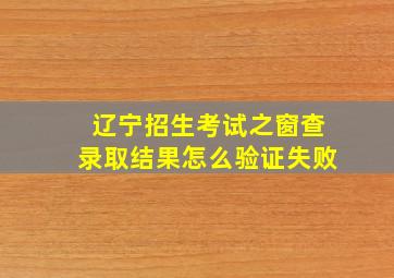 辽宁招生考试之窗查录取结果怎么验证失败