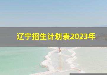 辽宁招生计划表2023年