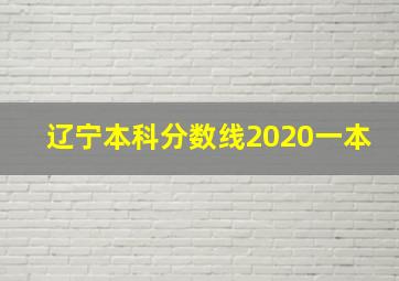 辽宁本科分数线2020一本