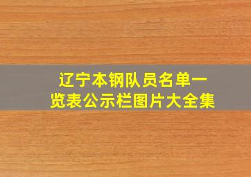 辽宁本钢队员名单一览表公示栏图片大全集