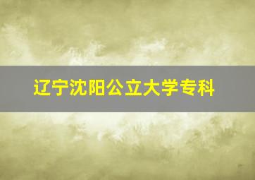 辽宁沈阳公立大学专科