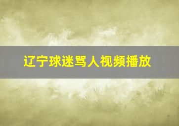 辽宁球迷骂人视频播放