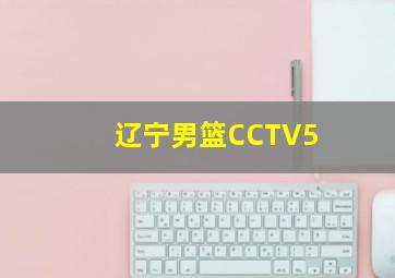 辽宁男篮CCTV5